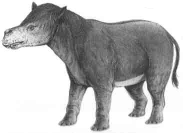 http://www.paleocene-mammals.de/coryphodon.jpg