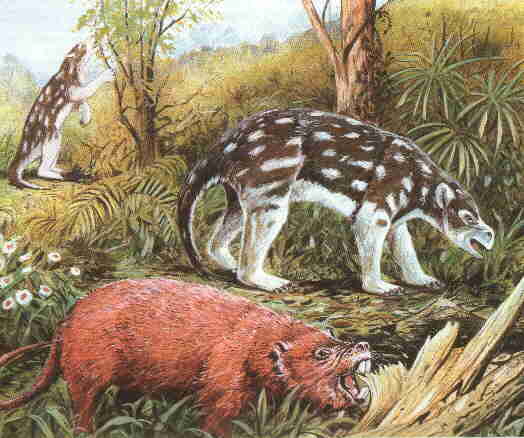 http://www.paleocene-mammals.de/ectoganus_pantolambda.jpg